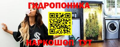 apvp Дубна